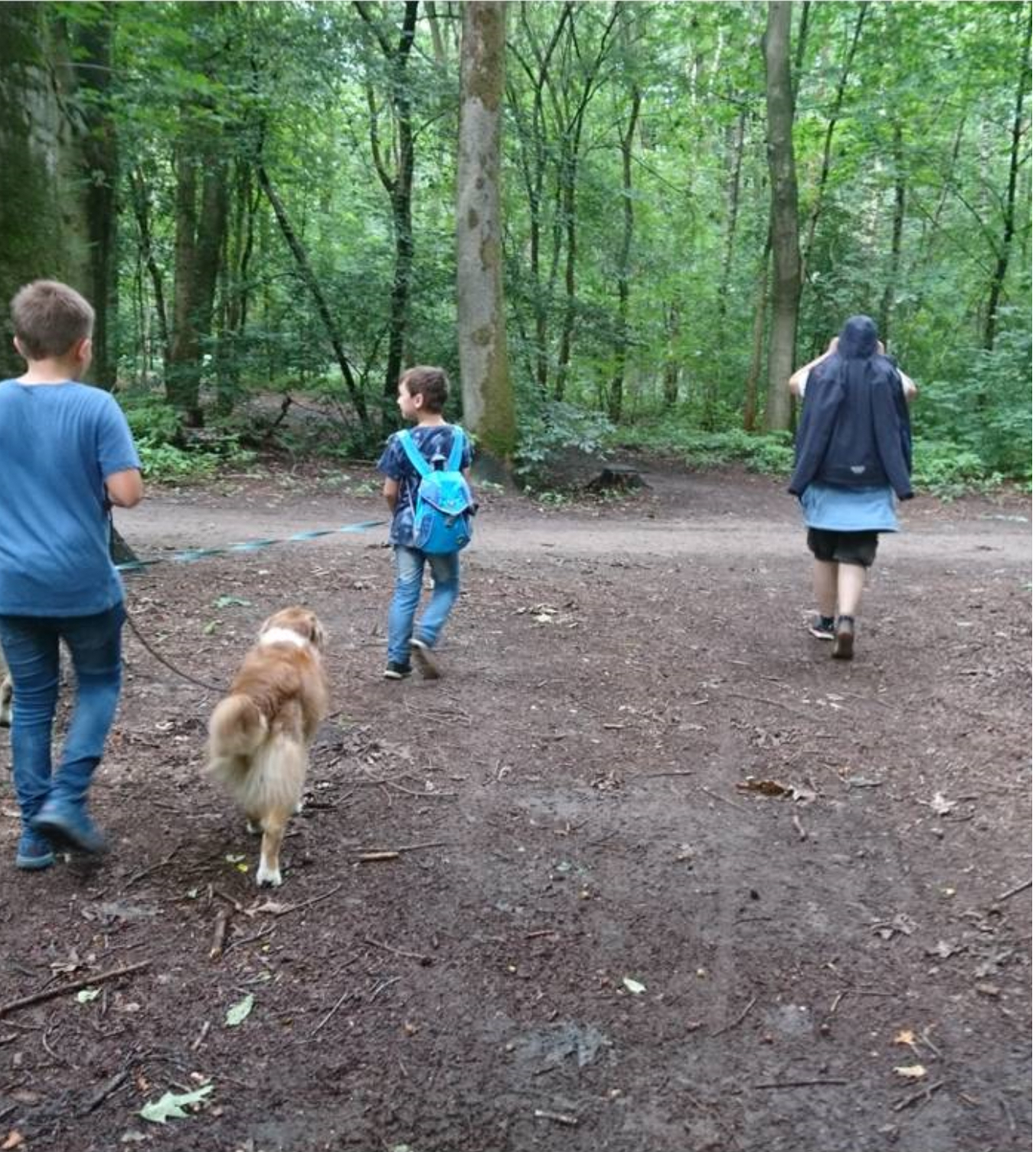 Schultraining mit Hund 4